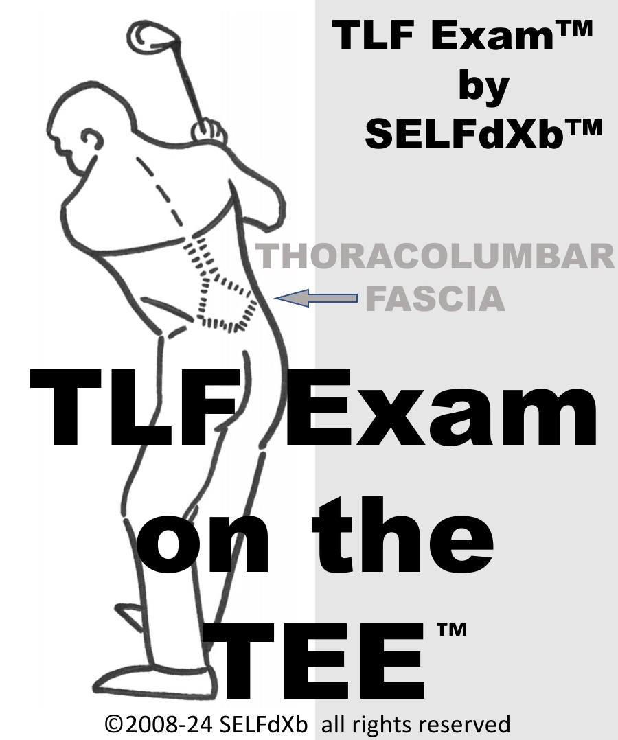 TLF_EXAM_onthe_TEE_copyright2024_